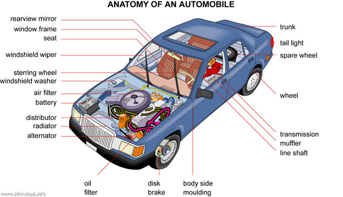 Anatomy of an automobile