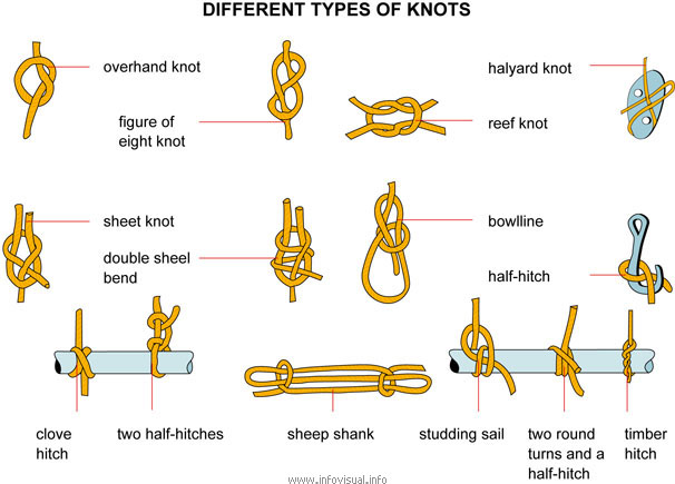 Knots