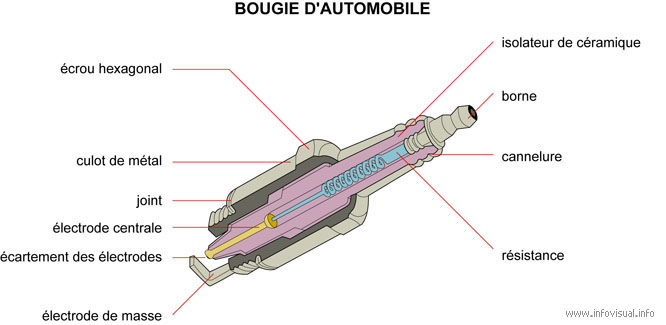 Bougie d'auto